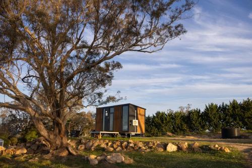 a tiny house sits next to a tree at Beckford Tiny House 1 by Tiny Away in Good Hope