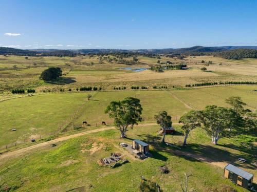 an overhead view of a field with animals and trees at Clover at Lexington Park by Tiny Away in Tarlo