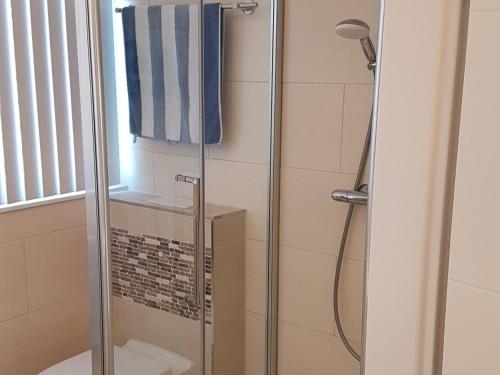 a shower with a glass door in a bathroom at Graspieper in Zonnemaire