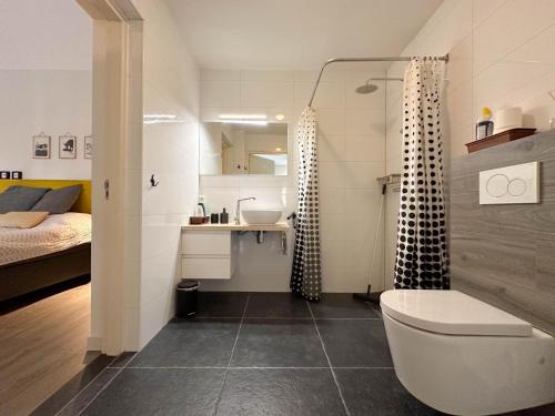 a bathroom with a shower and a toilet and a sink at Op de Beemd in Zeeland