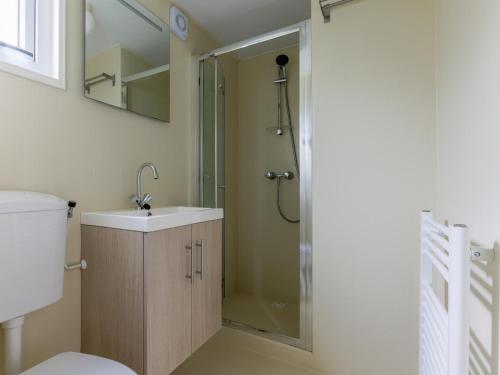 ein Badezimmer mit Dusche, Waschbecken und Toilette in der Unterkunft Easy Chalet in Vessem