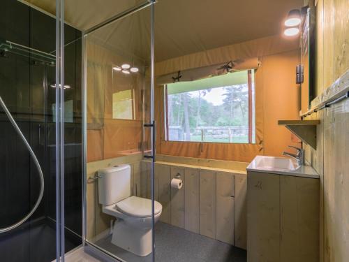 a bathroom with a toilet and a shower and a sink at Safaritent 7 in Vessem