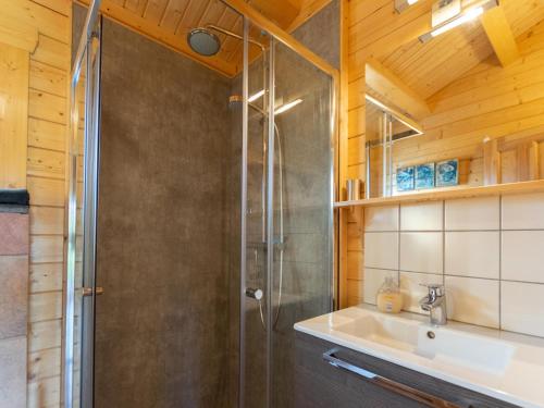 a bathroom with a shower and a sink at Onder de oude Eik in Lottum