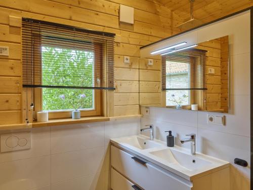 a bathroom with a sink and a mirror at Bie Leentje op de wei in Schinnen