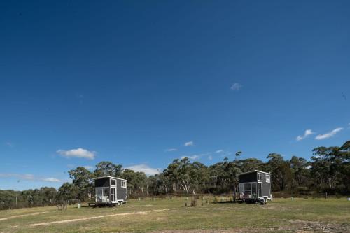 two trailers in a field with trees in the background at Saddle Camp Tiny House by Tiny Away in Braidwood
