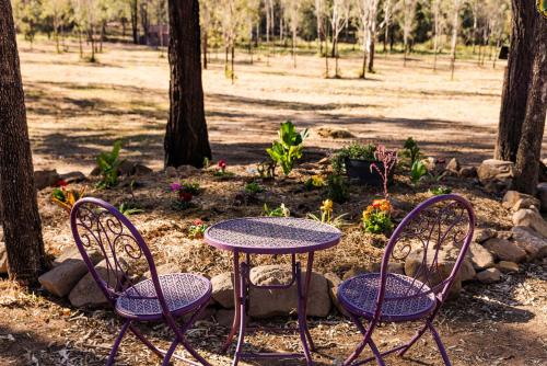 two purple chairs and a table in a garden at Kenny and Clancy's Camp by Tiny Away in Grandchester