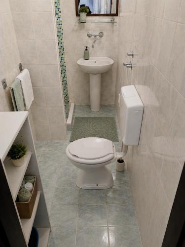 a bathroom with a toilet and a sink at Ina in Funtana