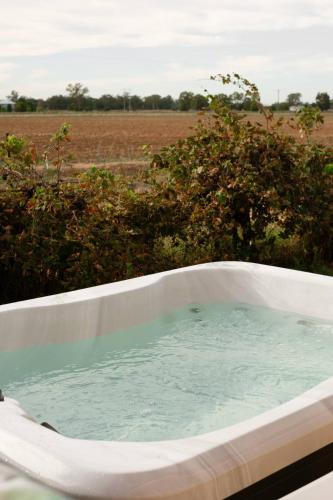 a bath tub filled with water next to a field at Starry Night Farmstay by Tiny Away in Forbes
