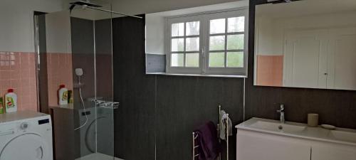 a bathroom with a shower and a sink and a toilet at Balcon des fées in Le Malzieu-Ville