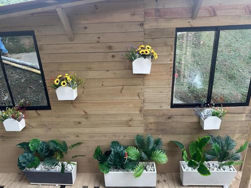 a wooden wall with four potted plants on it at Finca la Cabaña in Cisneros