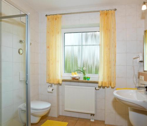 ein Bad mit einem WC, einem Waschbecken und einem Fenster in der Unterkunft Franzl's Ferienwohnungen in Bad Birnbach