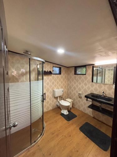 a bathroom with a shower and a toilet and a sink at Linas Lodge in Vaitele