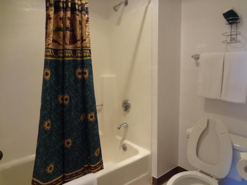 Baño con cortina de ducha junto a un aseo en Littletree Inn, en Granby