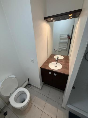 a bathroom with a toilet and a sink and a mirror at Duplex Kedge Talence in Talence
