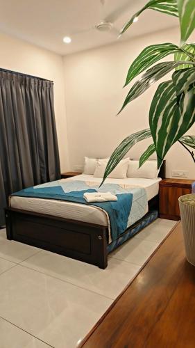 a bedroom with a bed and a plant at Hill valley farm resort in Munnar