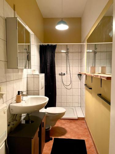a bathroom with a sink and a toilet and a shower at Das "Alte Jagdhaus" - mit großem Grundstück für 3 Personen in Groß Garz