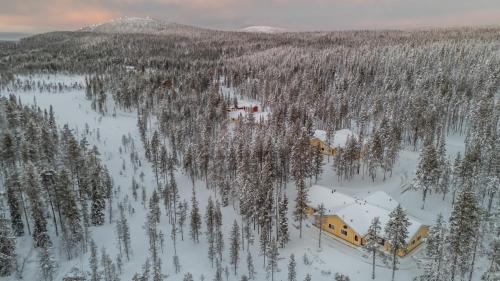 an aerial view of a house in a snowy forest at Sallainen Panvillage in Salla