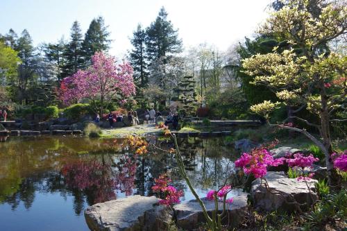 a garden with a pond with flowers and trees at Le Petit Talensac in Nantes