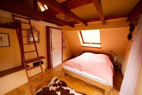 a bedroom with a bunk bed and a ladder at Haus im Rübental in Bad Dürkheim