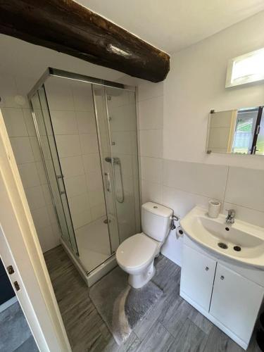 a bathroom with a toilet and a sink at Cozy Forest House in Jonkowo