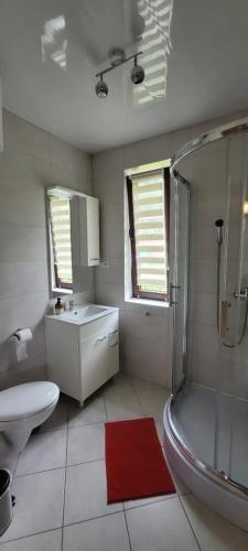 a bathroom with a shower and a toilet and a sink at Solińskie Podgórze in Solina
