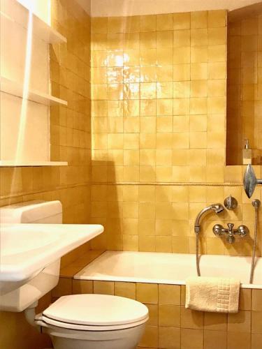 a bathroom with a toilet and a sink and a tub at Maison dans un parc in Parentignat