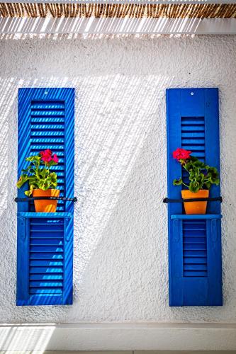two blue shuttered windows with red flowers on them at Skiathos Pearl in Skiathos