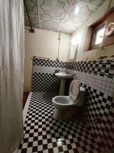a bathroom with a toilet and a sink at Hunza Backpackers Inn in Hunza Valley