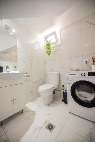 a bathroom with a toilet and a washing machine at Aegean View Summer House 1 in Nea Kallikrateia