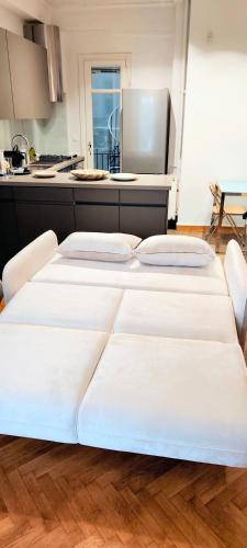 Classy apartment in Syntagma square