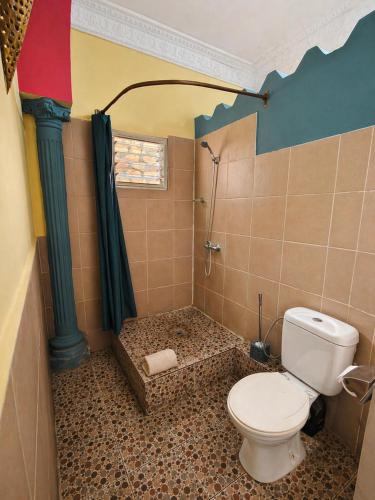 a bathroom with a toilet and a shower at Hôtel la medina in Antananarivo