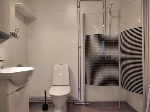 a bathroom with a shower and a toilet and a sink at Tärnaby Sportstugor in Tärnaby