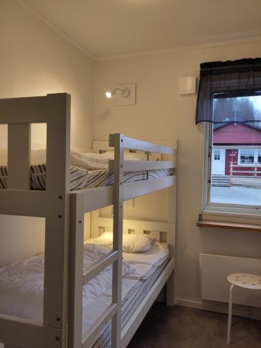 two bunk beds in a room with a window at Tärnaby Sportstugor in Tärnaby