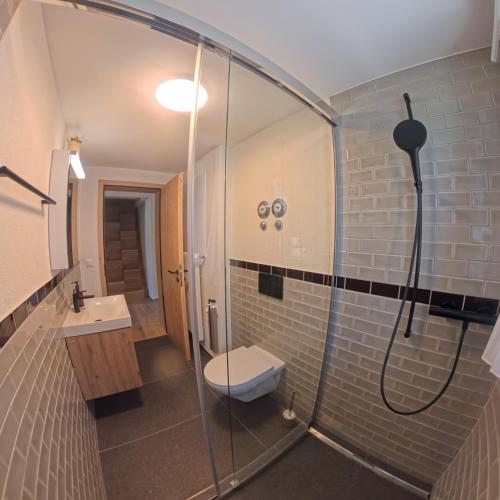 a bathroom with a shower with a toilet and a sink at Apartment with mountain view in Lenzerheide