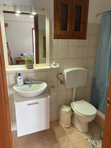 a bathroom with a toilet and a sink and a mirror at Niotis Studios in Kalymnos
