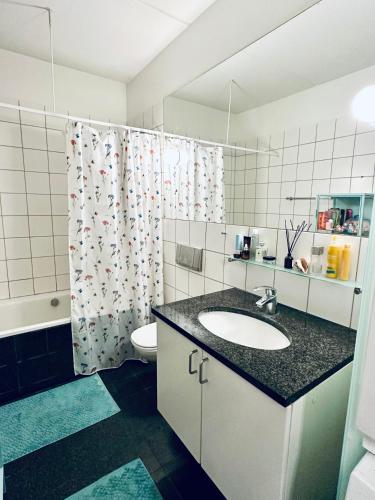 a bathroom with a sink and a toilet and a shower at Beach & City Fun plus Elevator & Free Parking in Hellerup