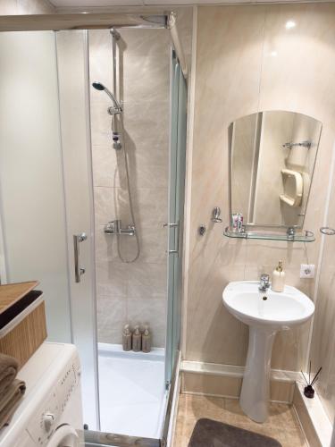 a bathroom with a shower and a sink at Cozy 32 in Preiļi