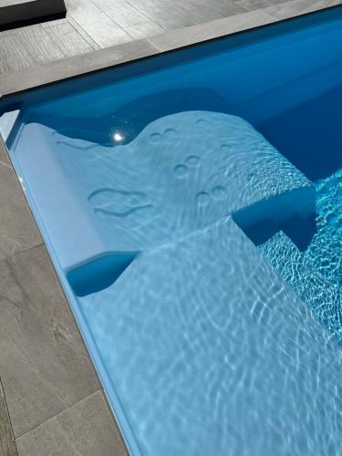 a shark in the water in a swimming pool at Spacieuse villa standing de 220m2 à 5 minutes des plages in Aléria