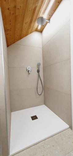 a shower with a shower head in a room at Apartments and Rooms Milena in Kranjska Gora