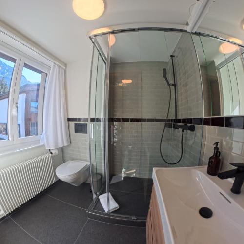 a bathroom with a shower and a sink at Design-Studio nahe der Piste Lenzerheide in Lenzerheide