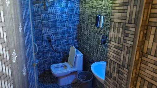 a bathroom with a blue toilet and a sink at Annmees Freedom Land in Bangalore
