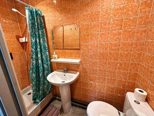 a bathroom with a sink and a toilet and a shower at Hotel Saint Francois Xavier in Lourdes