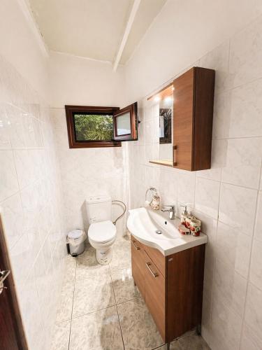 a bathroom with a toilet and a sink at Peyia traditional house in Paphos