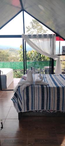 a bedroom with a bed with a canopy and a view at Café y sueños Cabaña Jacuzi externo in Silvania