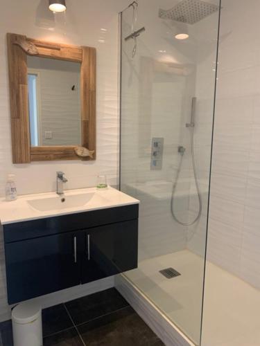 a bathroom with a sink and a shower at Villa des Ponteils in Moliets-et-Maa