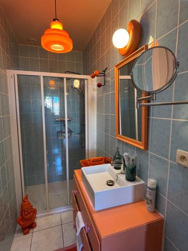 a bathroom with a sink and a shower at Résidences Les Murots 1 in Saint-André-les-Vergers