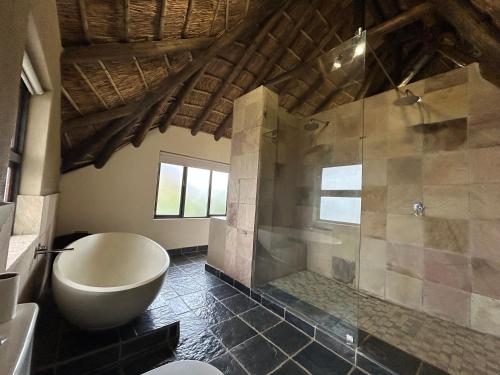 a bathroom with a shower and a toilet and a tub at Castle View in Pretoria