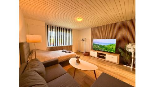 a living room with a couch and a bed and a television at Holeby Apartment 2 - next to Femern Puttgarden Lalandia Knuthenborg in Holeby