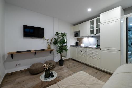 Modern Cozy Flat Madrid Center