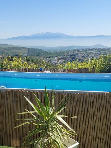 a palm tree in front of a fence next to a swimming pool at צימר תומר דבורה-קצה ההר in Kerem Ben Zimra